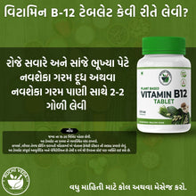 NAMHA INNOVATIVES/Plant-Based Vitamin B12 Tablet, Increased B12 Levels, Immunity Booster, and Digestive Health-120 tablets