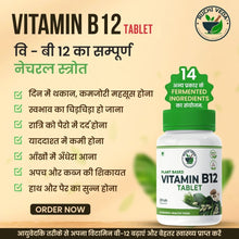 NAMHA INNOVATIVES/Plant-Based Vitamin B12 Tablet, Increased B12 Levels, Immunity Booster, and Digestive Health-120 tablets