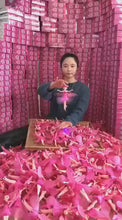 Princess Doll for Kids_Magic Flying Fairy Doll for Girls and Boys